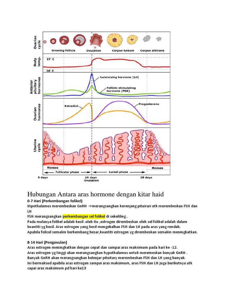 Hubungan Antara Aras Hormone Dengan Kitar Haid | PDF