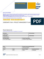 PM Plan IssueManagement Template