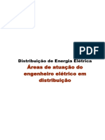 Áreas de Atuação Do Engenheiro Elétrico em Distribuição PDF