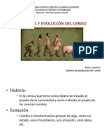 Historia y Evolución Del Cerdo