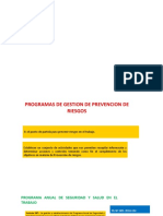 Programas de Prevencion de Riegos