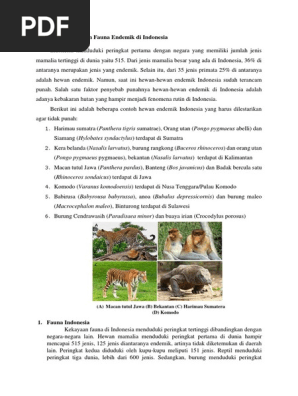 Persebaran Flora Dan Fauna Endemik Di Indonesia