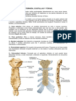 Osteologia de Torax !!.pdf