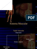 5A Anatomia Sistema Muscular