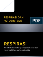 Respirasi Sel Dan Fotosintesis