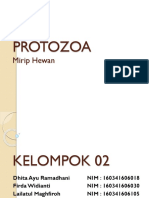 Protozoa PPT Kelompok 02
