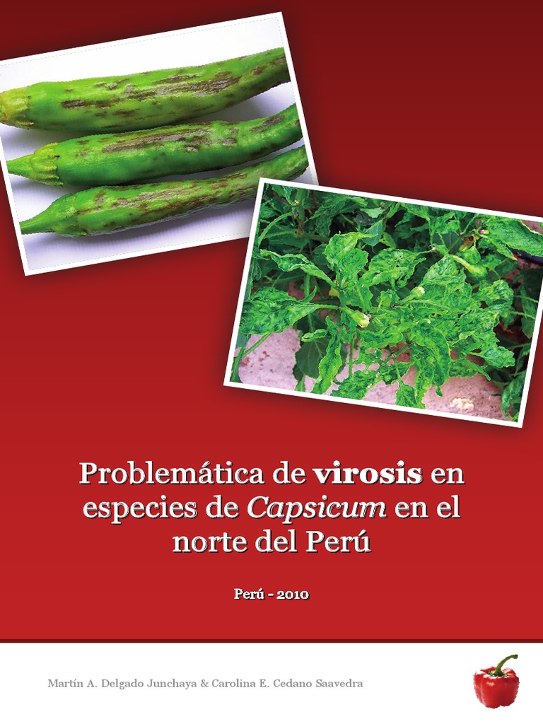 Problematica de Virosis en Especies de pimiento morron | Virus | Pimiento