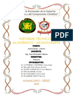 Informe Tecnico Monografico