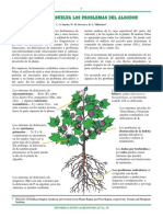 Conozca y Resuelva Los Problemas Del Algodón PDF