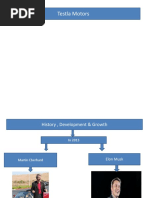 Group 3 Testla