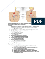 Endocrine System 1