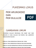 Profil Pukesmas Lokus