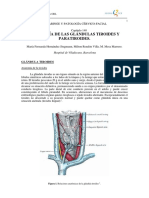 140 - Fisiología de Las Glándulas Tiroides y Paratiroides