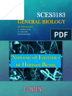 SCES3183 Nutrition For Human's Enzymes