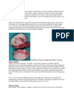 Pengertian Tumor