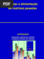 Aula aves - alimentação de matrizes pesadas 2 zootecnia e agronomia.ppt
