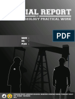 Official Report: Petroleum Geology Practical Work