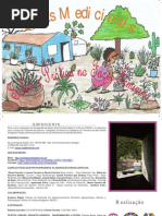 Ervas Medicinais Saber e Prática no Fazer Feminino.pdf