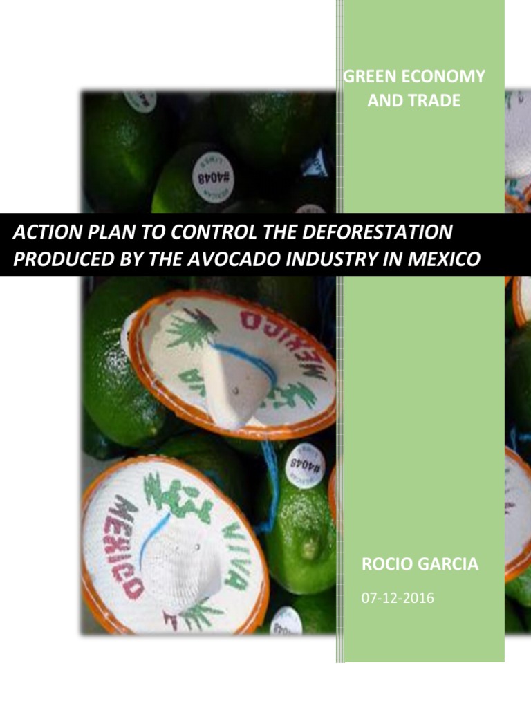 Action Plan | PDF | Sustainability | Agriculture