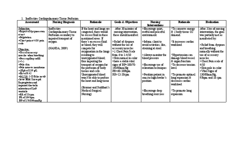1 Ineffective Peripheral Tissue Perfusion | PDF | Heart ...