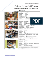etnias bolivianas.pdf