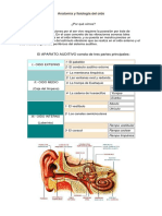 Anatomía y Fisiología Del Oído