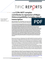 CCR4 NOTComplex MHCII