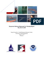 DWH Dispersants Use Meeting Report