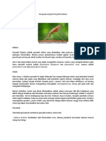Waspada Gejala Penyakit Malaria PDF