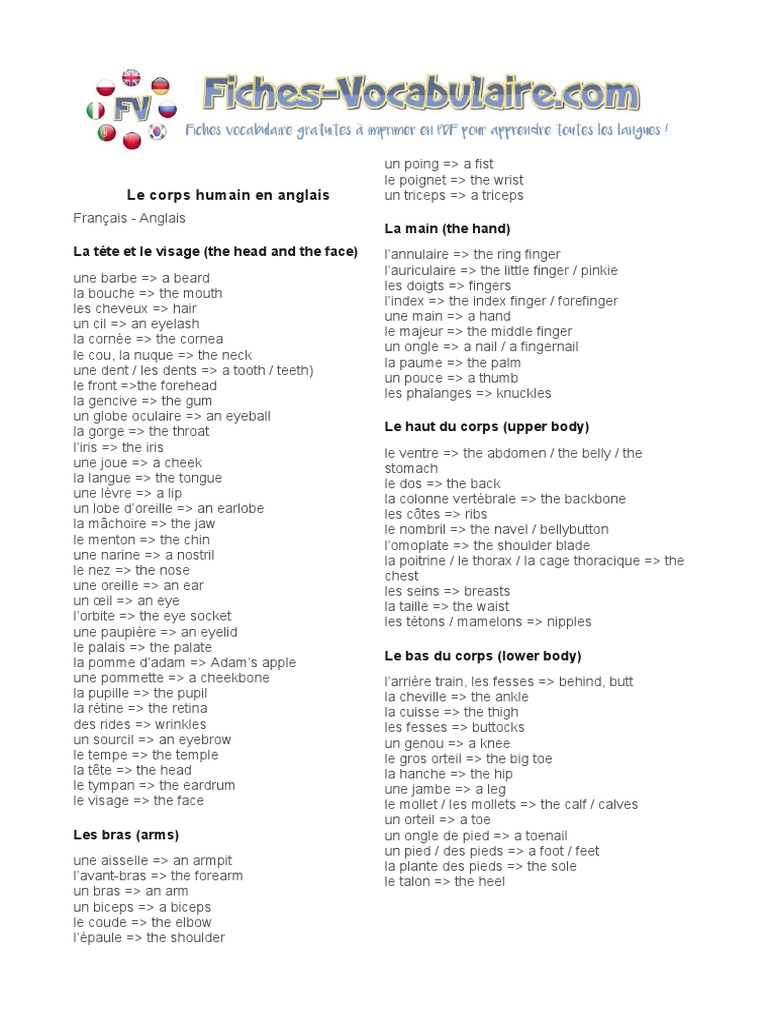 Lexique Vocabulaire Corps Humain En Anglais Tractus Gastro Intestinal Appareil Digestif Humain