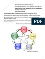 Cele-5-Elemente-Feng-Shui.docx