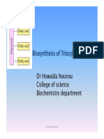 Triacylglycerol Synthesis PDF