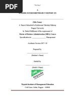 SIP Project Report Format