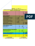 Formato Edos Financieros Basicos_Oficial