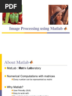 Introduction To Image Processing Using Matlab