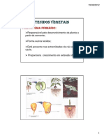 Histologia Vegetal