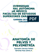 Anatomia de Pelvis y Pelvimetria 1231634850724499 1
