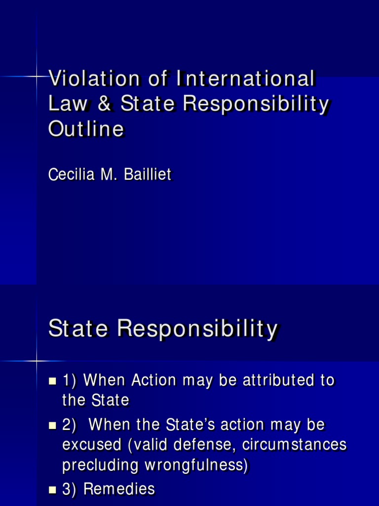 State Responsibility in International Law | PDF | International Law ...