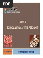 Aula 06 Carnes