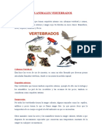 Animales Vertebrados