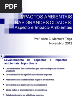 Apresentacao_Impactosambientais3
