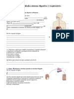 Sistema digestivo e respiratório