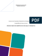 Plan de Actividades Preventivo Promocionales Meseta PDF