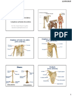13 - Cinesiologia Do Ombro