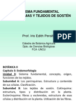 Clase-Tejidos-Fundamentales-y-de-Sosten-Botanica-I-2014-FCA-UNCU.pdf