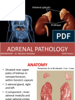 Adrenalpathology