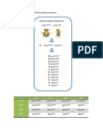 Resultados Cruzamento Drosophila