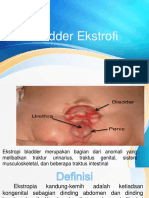 Bladder Ekstrofi