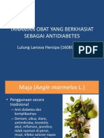 Tanaman Obat Yang Berkhasiat Sebagai Antidiabetes