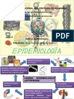 Cadena Epidemiológica